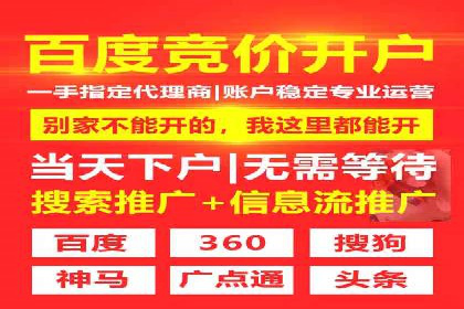 SEM优化策略：打造高效广告投放案例